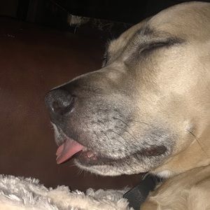 Meet your Posher, Maxine